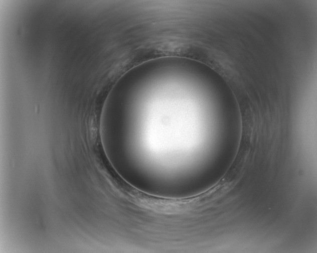 X0000056020040200508221532