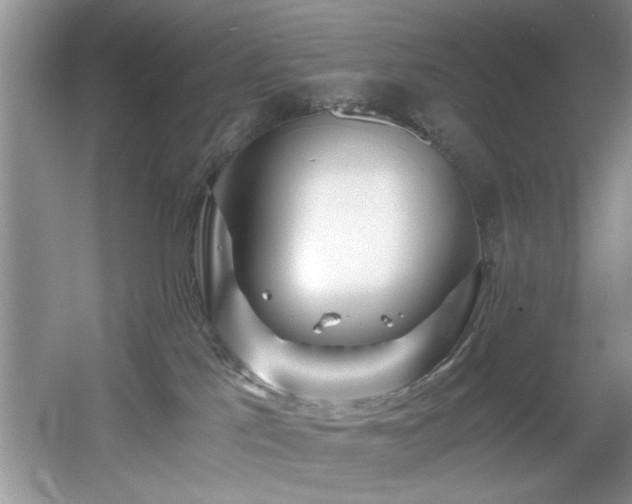 X0000056020041200508221532