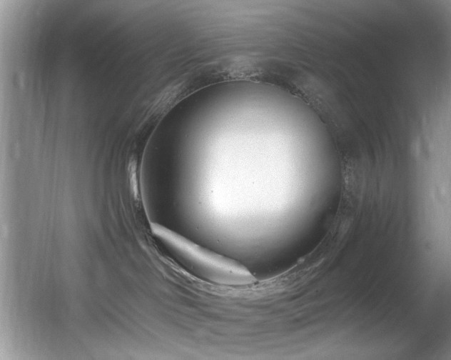 X0000056020046200508221532
