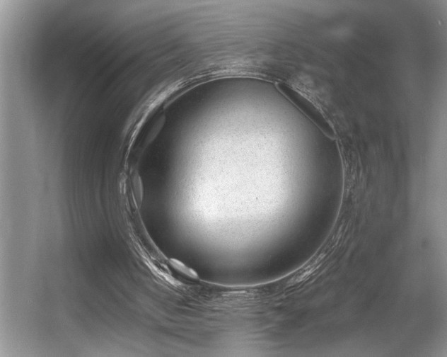 X0000056020050200508221531