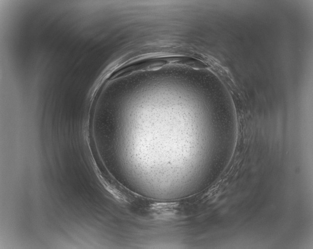 X0000056020051200508221531
