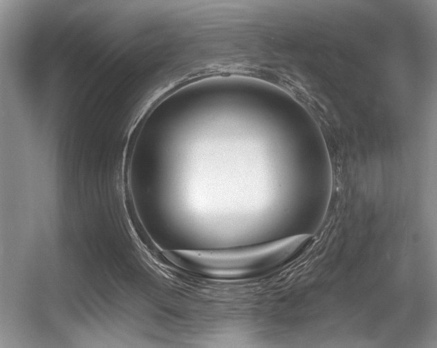 X0000056020052200508221531