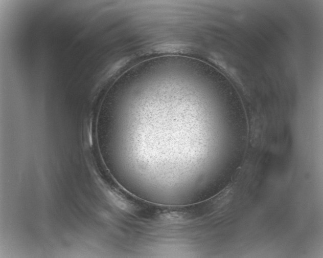 X0000056020062200508221531