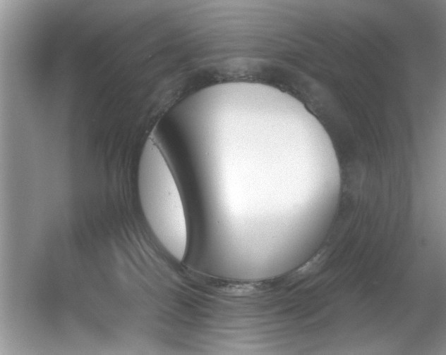 X0000056020086200508221532