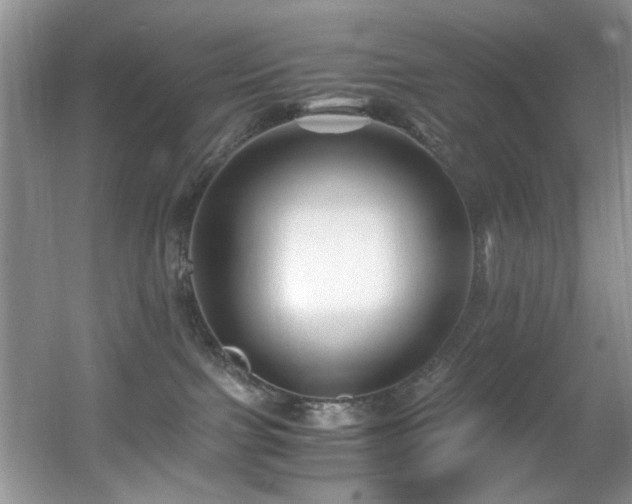 X0000056020091200508221532