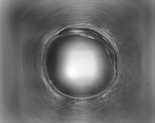 X0000056020097200508221531