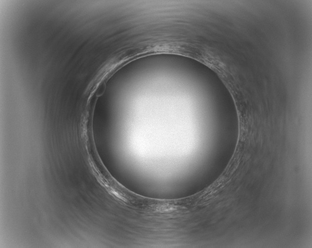 X0000056020098200508221531