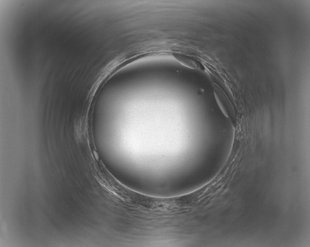 X0000056020099200508221531