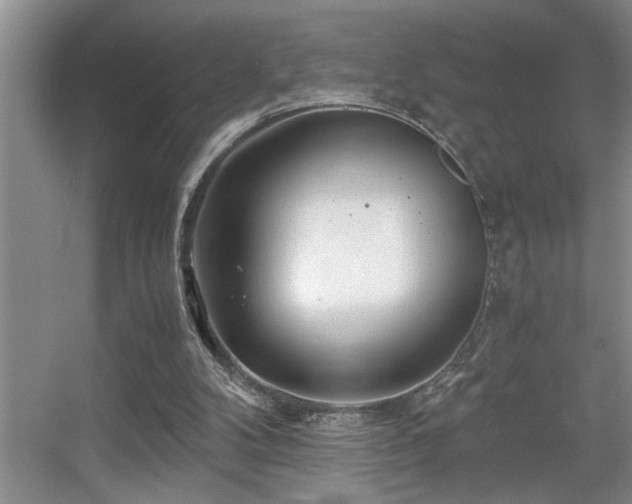 X0000056020104200508221531