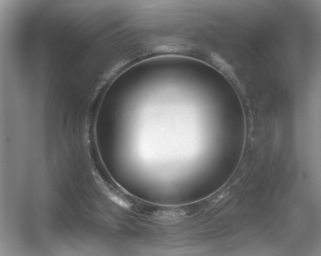 X0000056020106200508221531