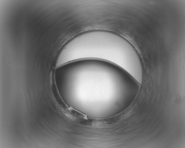 X0000056020109200508221531