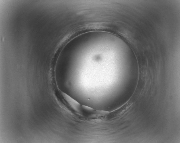 X0000056020111200508221531