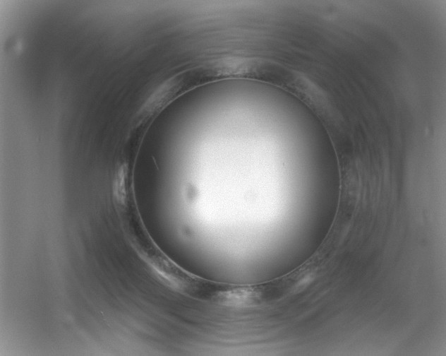 X0000056020118200508221531