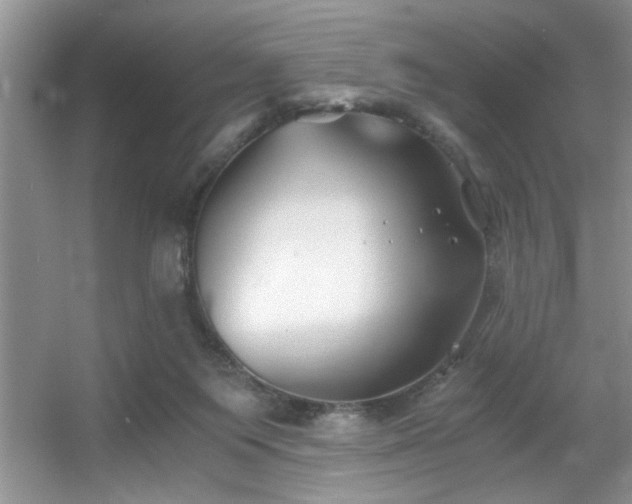 X0000056020119200508221531