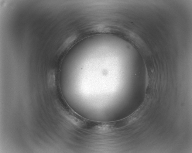 X0000056020120200508221531
