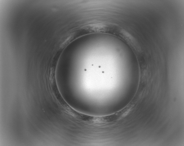 X0000056020121200508221531
