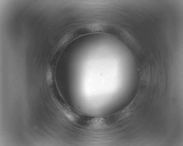 X0000056020124200508221531