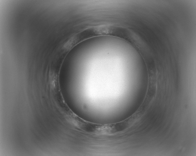 X0000056020125200508221531