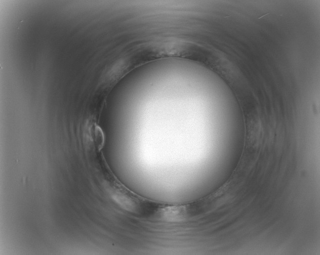 X0000056020126200508221531