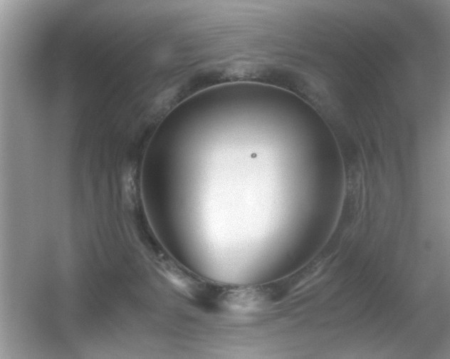 X0000056020127200508221531