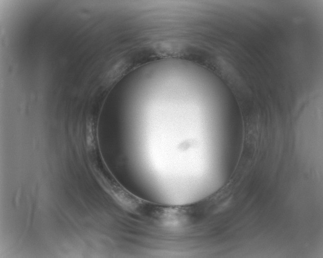 X0000056020130200508221531