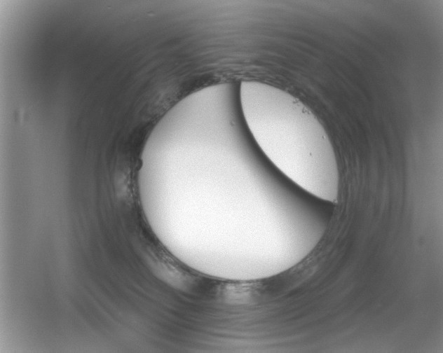X0000056020134200508221531