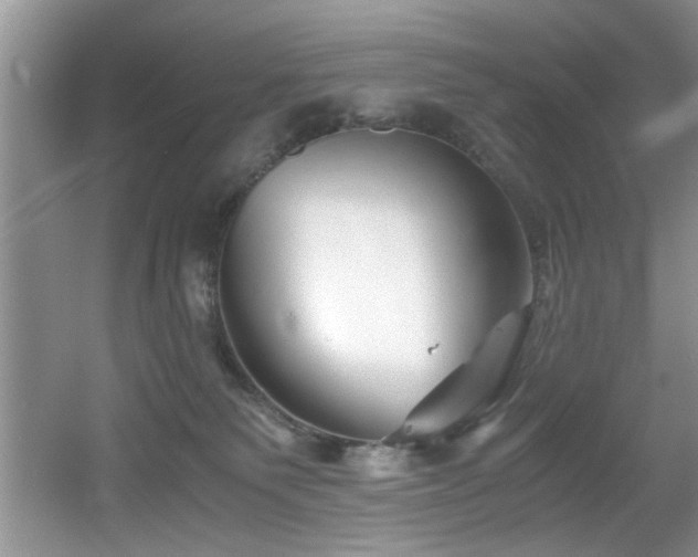 X0000056020135200508221531