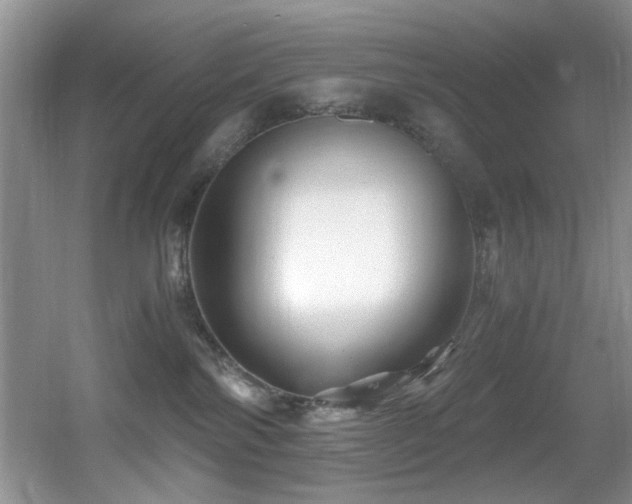 X0000056020138200508221530