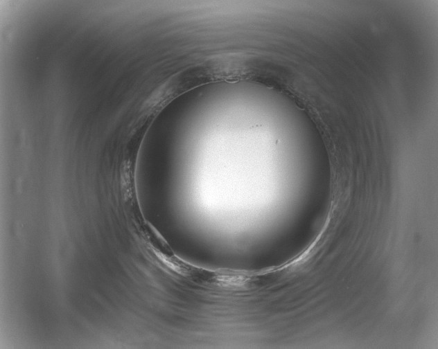 X0000056020144200508221530