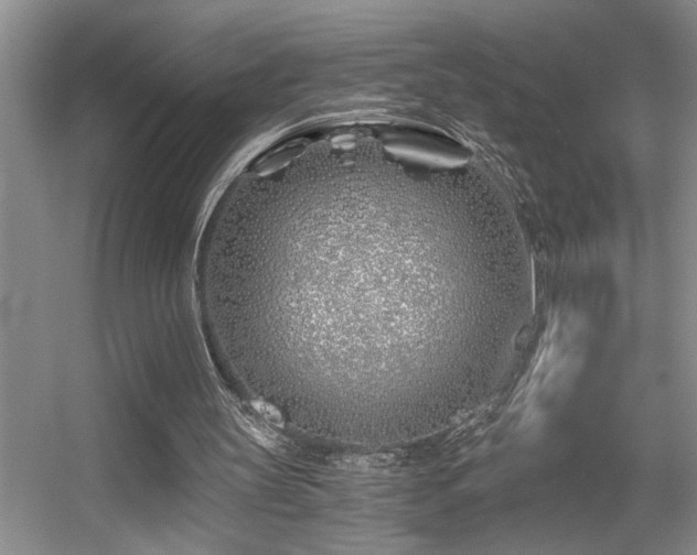 X0000056020147200508221530