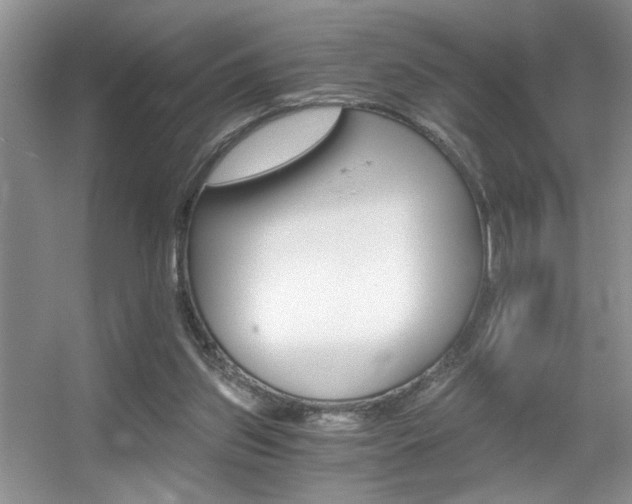 X0000056020157200508221530