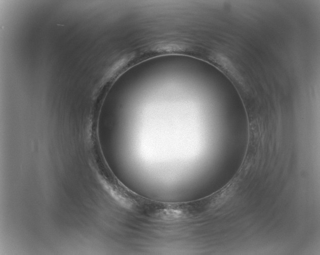 X0000056020159200508221530
