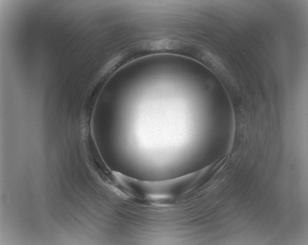 X0000056020164200508221530