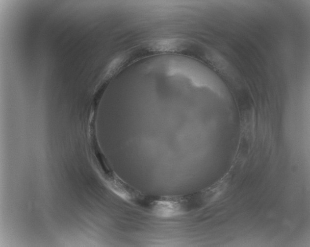 X0000056020167200508221530