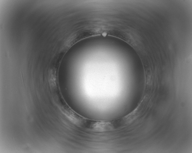 X0000056020179200508221530
