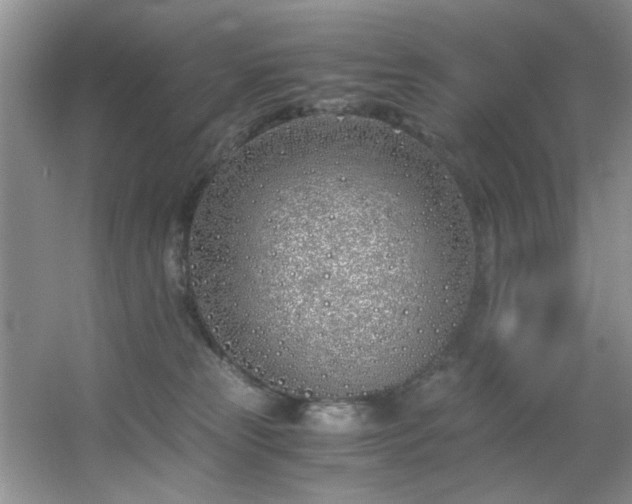 X0000056020181200508221530