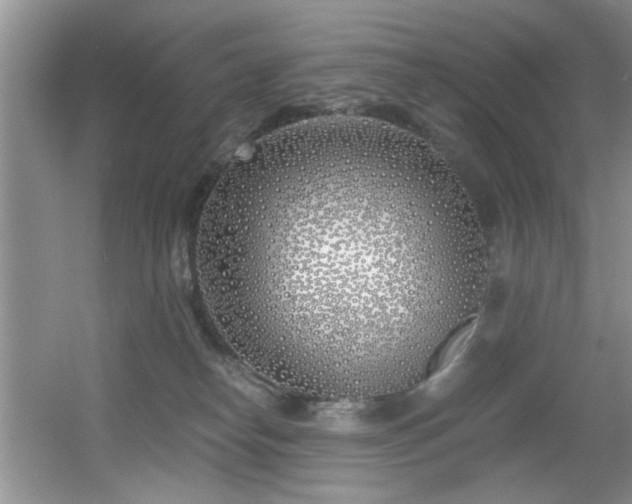 X0000056020182200508221530