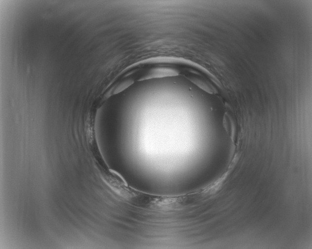 X0000056020186200508221530