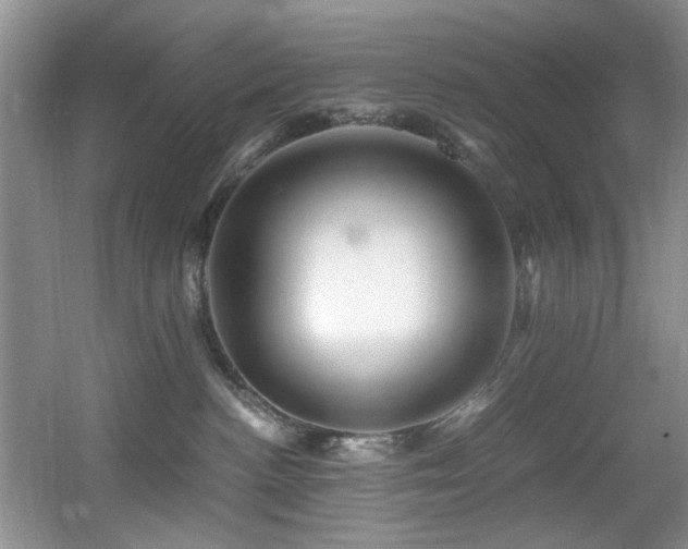 X0000056020188200508221530
