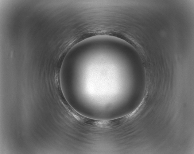 X0000056020192200508221530