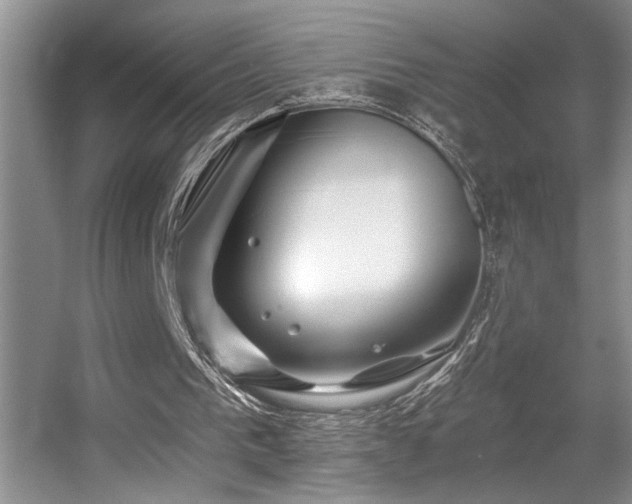 X0000056020193200508221530