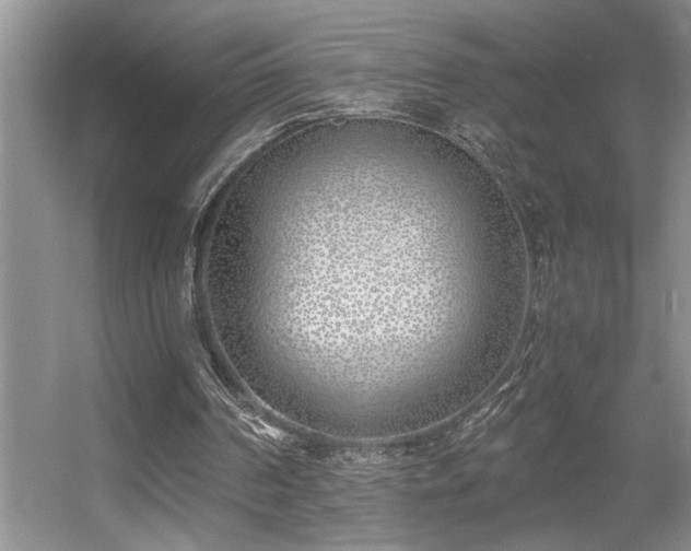 X0000056020194200508221530