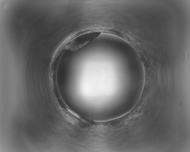 X0000056020197200508221529