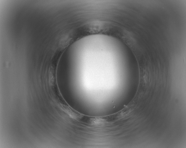 X0000056020226200508221529