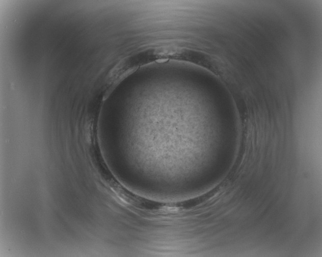 X0000056020227200508221529