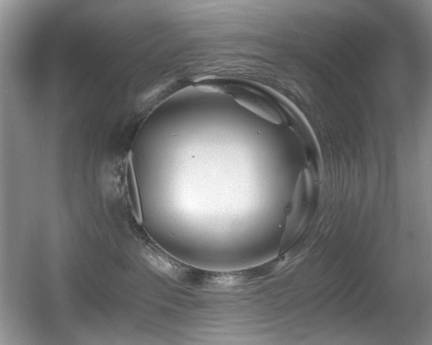 X0000056020237200508221529