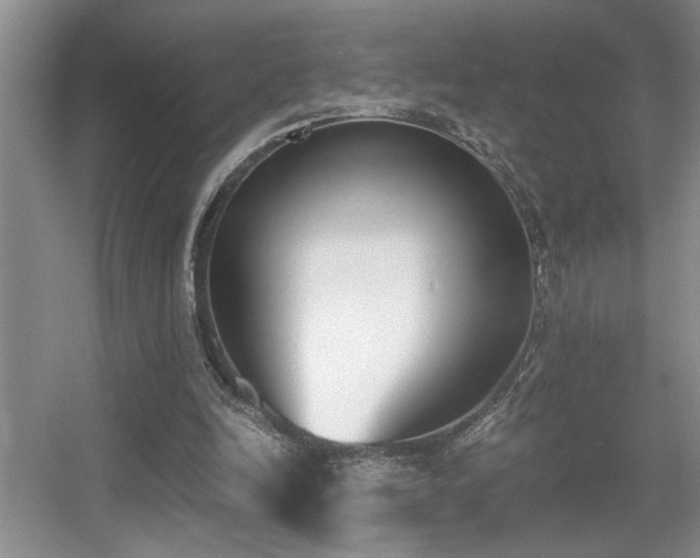 X0000056020246200508221528