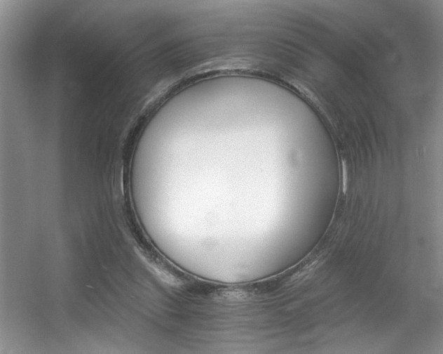 X0000056020253200508221528