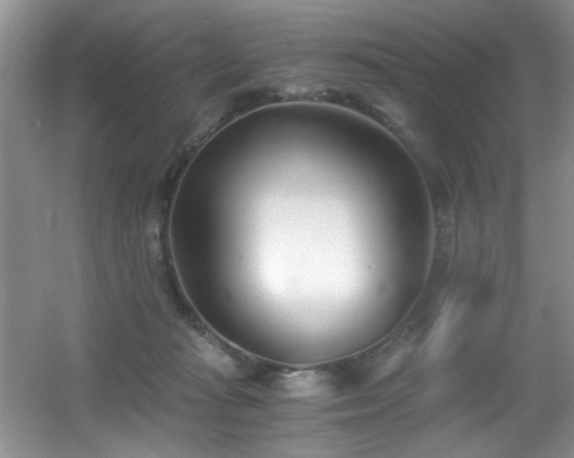 X0000056020269200508221528