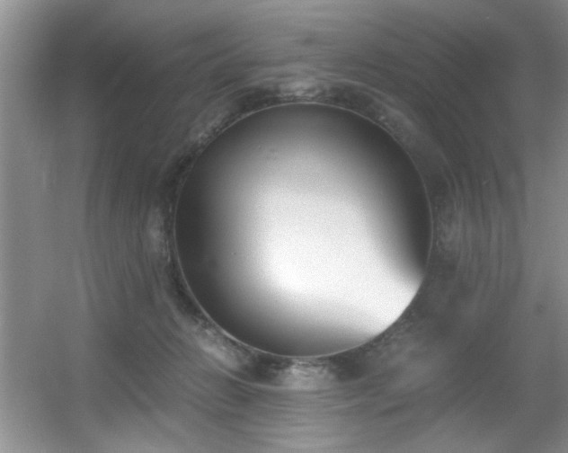 X0000056020270200508221528